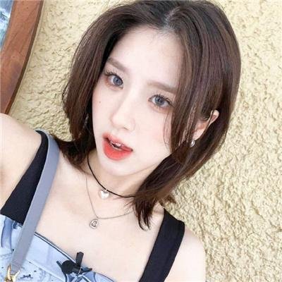救援狗